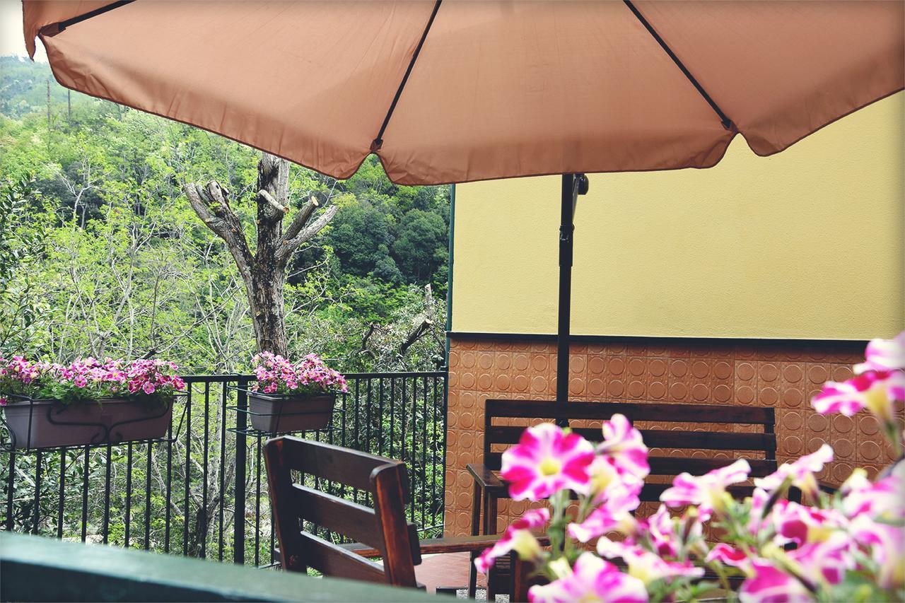Hotel Pineta Del Borgo Cavi di Lavagna Exteriér fotografie