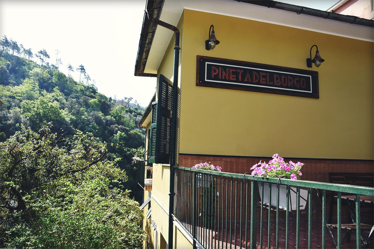 Hotel Pineta Del Borgo Cavi di Lavagna Exteriér fotografie